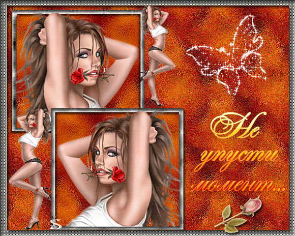 ������������ ��������, ��������, ������������, ���������, ��������, ��� ���� �������� � �������, �� ������ ������