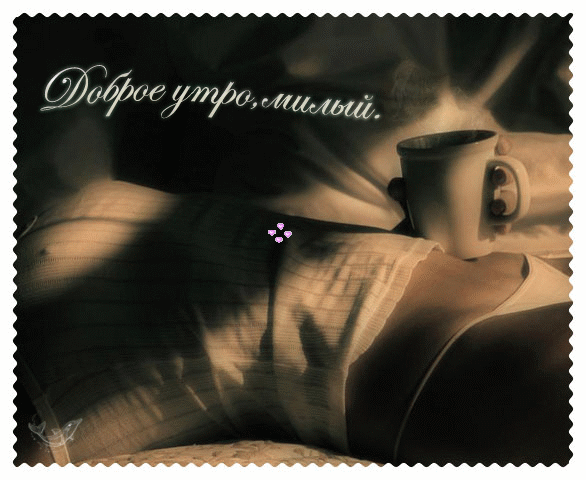 ��������, ��������, ������������, ���������, �����, ��� ���� �������, ����, ������ ����, �����