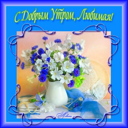 ������������ ��������, ��������, ������������, ���������, �������, ��������, ������� ���� �������� ����� ������, � ������ ����� �������